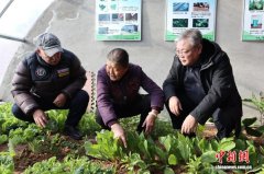 乌兰察布新时代文明实践观察：需求在哪里服务到哪里